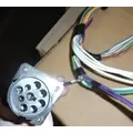 INTERNATIONAL 4300 Body Wiring Harness thumbnail 7