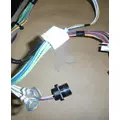 INTERNATIONAL 4300 Body Wiring Harness thumbnail 8