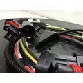 INTERNATIONAL 4300 Body Wiring Harness thumbnail 3