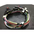 INTERNATIONAL 4300 Body Wiring Harness thumbnail 4