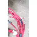 INTERNATIONAL 4300 Body Wiring Harness thumbnail 3
