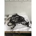 INTERNATIONAL 4300 Chassis Wiring Harness thumbnail 1