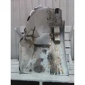 INTERNATIONAL 4300 FENDER EXTENSION thumbnail 6