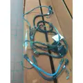 INTERNATIONAL 4300 FRAME RAIL WIRING HARNESS thumbnail 3