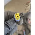 INTERNATIONAL 4300 Fuse Box thumbnail 18