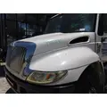 INTERNATIONAL 4300 HOOD thumbnail 2