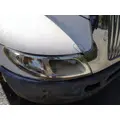 INTERNATIONAL 4300 HOOD thumbnail 6