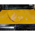 INTERNATIONAL 4300 HOOD thumbnail 4