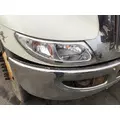 INTERNATIONAL 4300 HOOD thumbnail 3