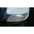 INTERNATIONAL 4300 HOOD thumbnail 5