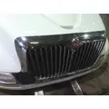 INTERNATIONAL 4300 HOOD thumbnail 15