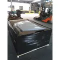 INTERNATIONAL 4300 HOOD thumbnail 20