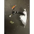 INTERNATIONAL 4300 Headlamp Assembly thumbnail 3