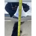 INTERNATIONAL 4300 Hood thumbnail 12