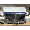 INTERNATIONAL 4300 Hood thumbnail 9