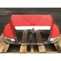 INTERNATIONAL 4300 Hood thumbnail 8