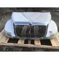 INTERNATIONAL 4300 Hood thumbnail 9