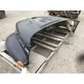 INTERNATIONAL 4300 Hood thumbnail 3