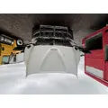 INTERNATIONAL 4300 Hood thumbnail 4