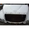 INTERNATIONAL 4300 Hood thumbnail 6