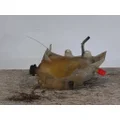 INTERNATIONAL 4300 RADIATOR OVERFLOW TANK thumbnail 1