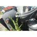 INTERNATIONAL 4300 Radiator thumbnail 1