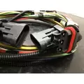 INTERNATIONAL 4300 WIRING HARNESS, BODY thumbnail 2