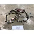 INTERNATIONAL 4300 Wiring Harness thumbnail 1