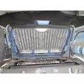 INTERNATIONAL 4400 2002-2019 HOOD thumbnail 10