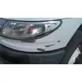 INTERNATIONAL 4400 2010-2019 HOOD thumbnail 4