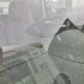 INTERNATIONAL 4400 Cab thumbnail 19