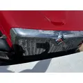 INTERNATIONAL 4400 Grille thumbnail 2