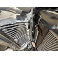 INTERNATIONAL 4400 Hood thumbnail 17