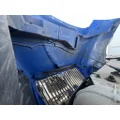 INTERNATIONAL 4400 Hood thumbnail 9