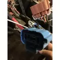 INTERNATIONAL 4400 WIRING HARNESS, BODY thumbnail 8