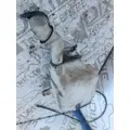 INTERNATIONAL 4400 Windshield Washer Reservoir thumbnail 25