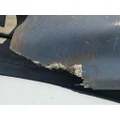 INTERNATIONAL 4600 UH Hood thumbnail 10