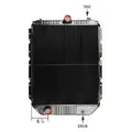 INTERNATIONAL 4600 RADIATOR ASSEMBLY thumbnail 2