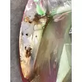 INTERNATIONAL 4700 Fender Extension thumbnail 4