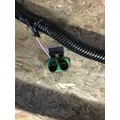 INTERNATIONAL 4800 Body Wiring Harness thumbnail 6
