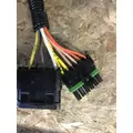 INTERNATIONAL 4800 WIRING HARNESS, BODY thumbnail 4