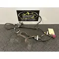 INTERNATIONAL 4900 Body Wiring Harness thumbnail 1