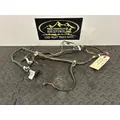 INTERNATIONAL 4900 Body Wiring Harness thumbnail 2