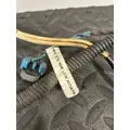 INTERNATIONAL 4900 Body Wiring Harness thumbnail 5
