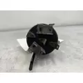 INTERNATIONAL 4900 Ignition Switch thumbnail 3