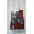 INTERNATIONAL 5600I Instrument Cluster thumbnail 2