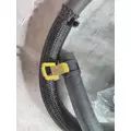 INTERNATIONAL 5900I Radiator Overflow Bottle thumbnail 2