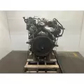 INTERNATIONAL 6.0 Engine Assembly thumbnail 4