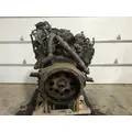 INTERNATIONAL 6.0 Engine Assembly thumbnail 5