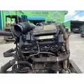 INTERNATIONAL 6.0 Engine Assembly thumbnail 1